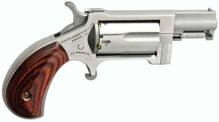 Naa 22mag Sidewinder 1 In. Bbl