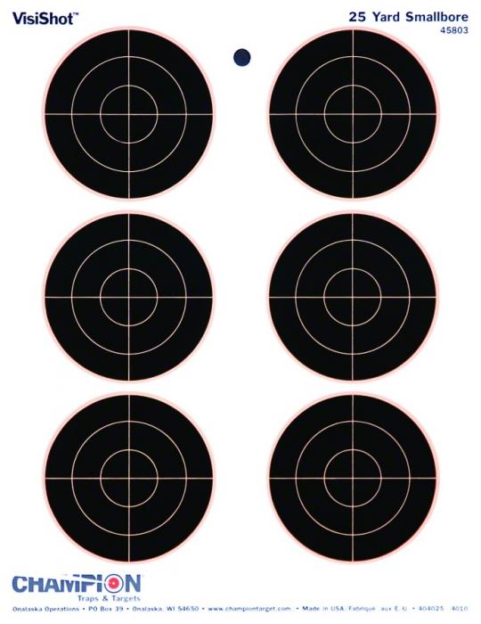 Champion Visishot Targets