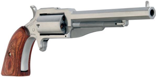 NAA The Earl 22 Lr/mag Conv