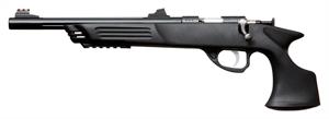 Crickett Pistol .22wmr