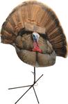 Montana Decoy Turkey Gobbler
