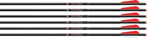 Easton Xbow Bolt Bloodline 20"
