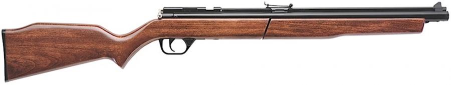Benjamin Pump Pellet Rifle .22 19"