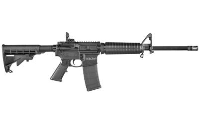 S&W M&p15 We The People 556nato