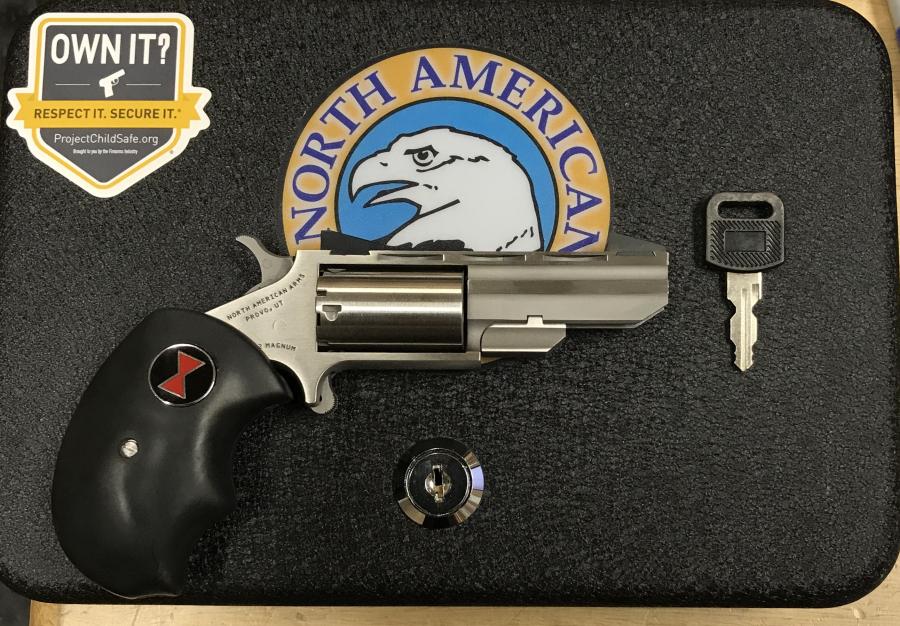 North American Arms Black Widow Conversion