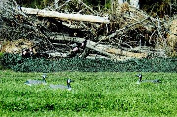 Camo Unlimited Camosystems Camouflage Netting Wood