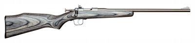 Chipmunk Rifle .22lr