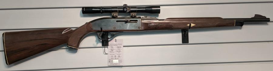 Remington Nylon 66