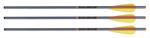 Tenpoint Xbow Arrow 20" Xx75