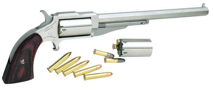 NAA Hogleg 22mag 6" Ss Sa
