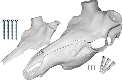 Mountain Mikes Elk Skull