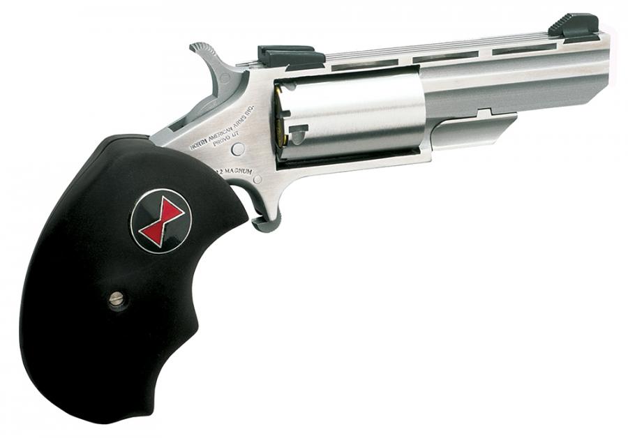 NAA 22 Black Widow Conversion 22