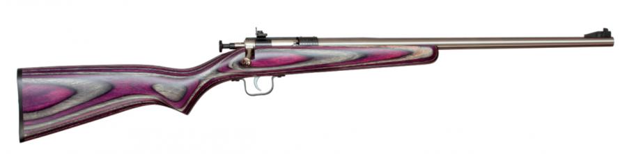 Crickett 22lr Ss/purple Syn