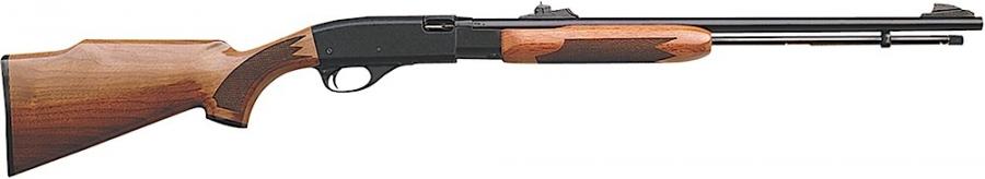 Rem 552 BDL Fieldmaster Pump 22lr