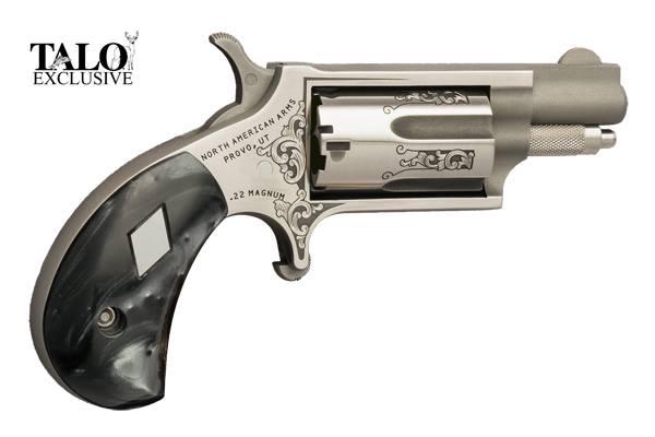 NAA Mini-revolver .22 Magnum Ss Dad