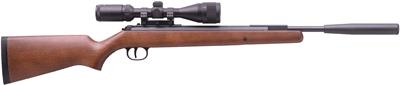 Rws M-34 Meisterschutze Pro