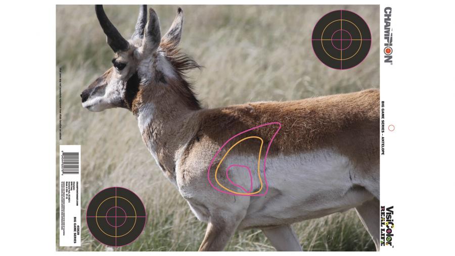 Ctc Visiclr Real Life Big Game
