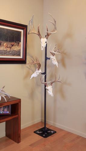 Skull Hooker Trophy Tree W/ 5