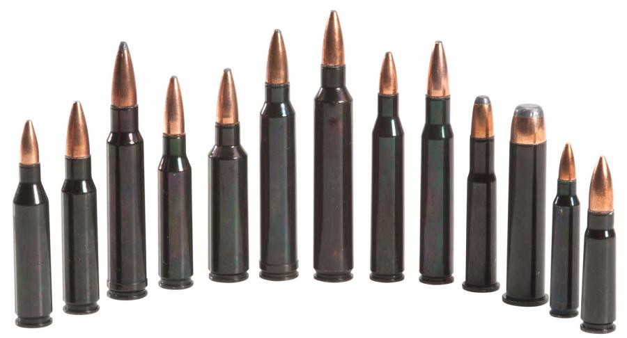 Traditions Atr223rem Rifle Training Cartridge 223