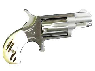 Naa Mini Rev 22lr 1 1/8