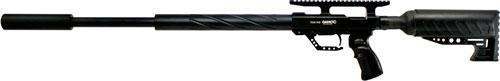 Gamo 611120454 TC Big Bore Air