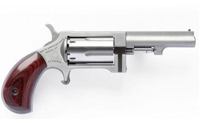 Naa Sidewinder 22wmr 2.5" 5sh Stnls